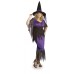 Mystical Witch             Plus Size                           
