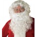 Economy Santa Beard & Wig Set                                  