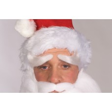 Deluxe Santa Eyebrows                                          
