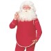 Santa Belly                                                    