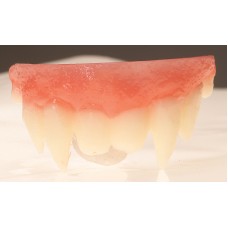 Vampire Teeth                                                  