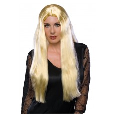 24  Witch Wig                                                  