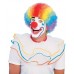 Popular Price Clown Wig   Multi                                