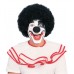 Popular Price Clown Wig                                        