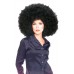 Super Afro Wig                                                 