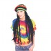 Rasta Wig W/cap                                                