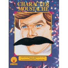 Character Moustache Assortment                                 