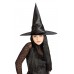 Satin Witch Hat W/hair                                         