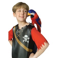 Feathered Parrot                                                Feathered Parrot