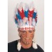 Chief Headdress                                                