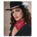Red Railroad Bandana                                           