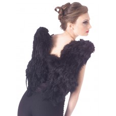 Feather Wings   Black                                          