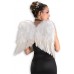 White Feather Wings                                            