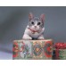 Jingle Cat Collar                                              