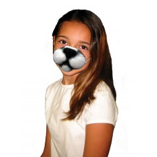 Cat Nose                                                       