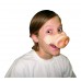 Pig Nose                                                       