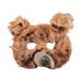 Bear Mask                                                      