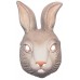 Bunny                                                          