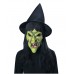 Witch Mask W/hat And Hair                                      