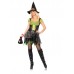 Spider Web Witch