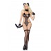 Kitten Frisky Kitty
