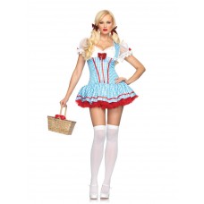 Dorothy Costume