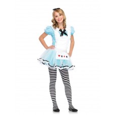 Adorable Alice Costume