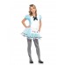 Adorable Alice Costume
