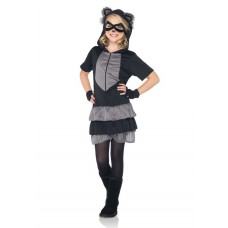 Girls Raccoon Costume