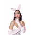 Bunny Accessories