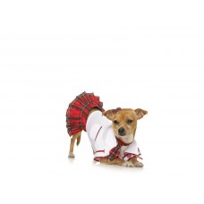 School Puppy Dog