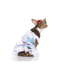 Dorothy Puppy Dog