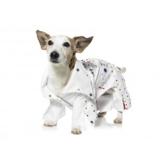 Rock Star Puppy Dog