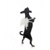 Puppy Dog Wings