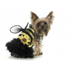 Bumble Bee Puppy Dog