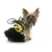 Bumble Bee Puppy Dog