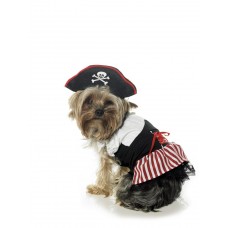 Pirate Puppy Dog