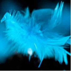 Fluffy Feather Fairy Lights - Turquiose Blue