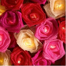Cabbage Rose Fairy Lights - Summer Gardens