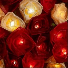Cabbage Rose Fairy Lights - Lovers Garden