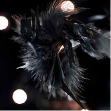 Fluffy Feather Fairy Lights - Black