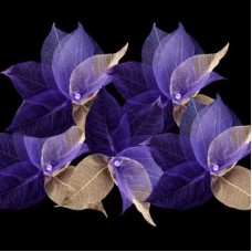 Natural Leaf Fairy Lights - Purple Tones