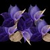 Natural Leaf Fairy Lights - Purple Tones