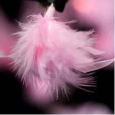 Fluffy Feather Fariy Lights - Pretty Pink
