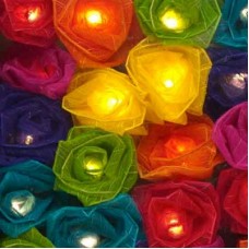 Cabbage Rose Fairy Lights - Rainbow