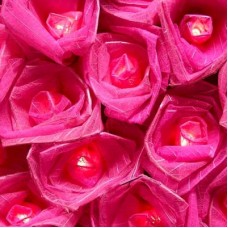 Cabbage Rose Fairy Lights - Fucsia Pink