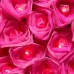Cabbage Rose Fairy Lights - Fucsia Pink