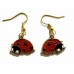 Enamel Ladybird Earrings