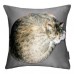 Lay On Cat Cushion In Silver Grey