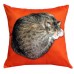 Lay On Cat Cushion In Orange
